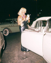 This is an image of Photograph & Poster of Jayne Mansfield 292902