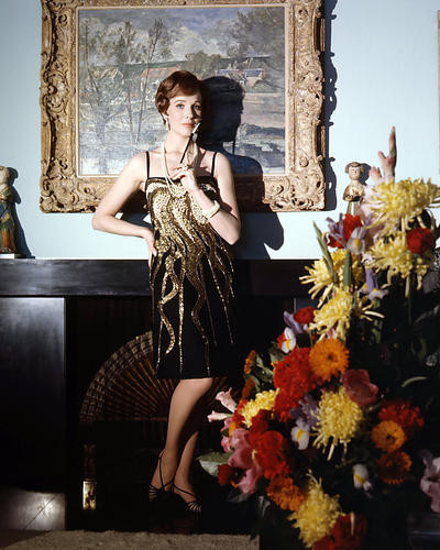 This is an image of Photograph & Poster of Julie Andrews 292922