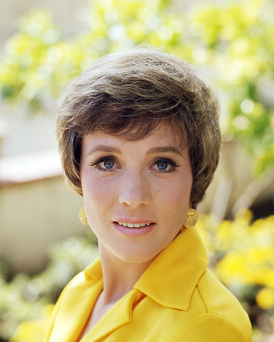 This is an image of Photograph & Poster of Julie Andrews 292979