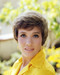 This is an image of Photograph & Poster of Julie Andrews 292979