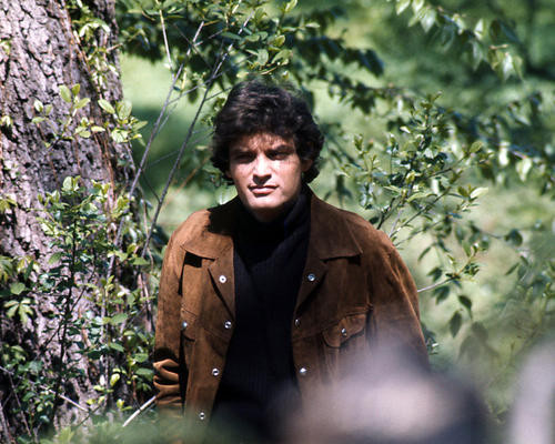 This is an image of Photograph & Poster of David Selby 292982