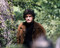 This is an image of Photograph & Poster of David Selby 292982