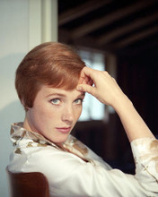 This is an image of Photograph & Poster of Julie Andrews 292984