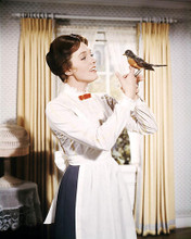 This is an image of Photograph & Poster of Julie Andrews 292986