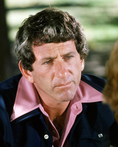 This is an image of Photograph & Poster of Barry Newman 292842