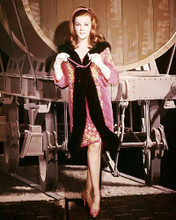 This is an image of Photograph & Poster of Ann-Margret 293022