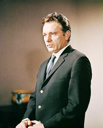 This is an image of Photograph & Poster of Richard Burton 293029