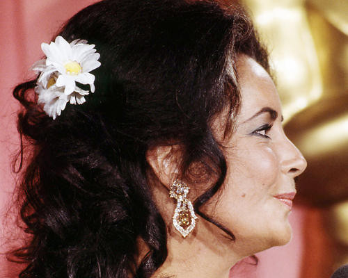 This is an image of Photograph & Poster of Elizabeth Taylor 293163