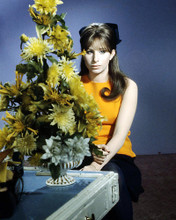 This is an image of Photograph & Poster of Barbra Streisand 293174