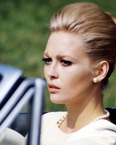 This is an image of Photograph & Poster of Faye Dunaway 293187