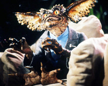This is an image of Photograph & Poster of Gremlins 293220