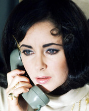 This is an image of Photograph & Poster of Elizabeth Taylor 293231