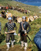 This is an image of Photograph & Poster of The Vikings 293252