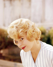 This is an image of Photograph & Poster of Sandra Dee 293283