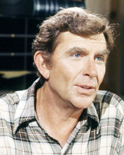 This is an image of Photograph & Poster of Andy Griffith 293288