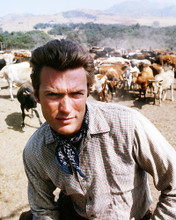 This is an image of Photograph & Poster of Clint Eastwood 293333