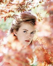 This is an image of Photograph & Poster of Jean Seberg 293339