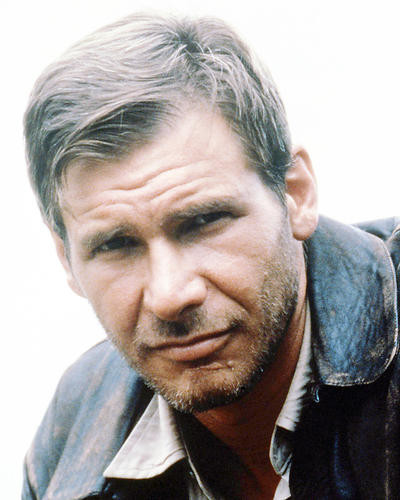 This is an image of Photograph & Poster of Harrison Ford 293342