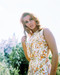 This is an image of Photograph & Poster of Jane Fonda 293346