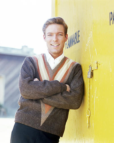 This is an image of Photograph & Poster of Richard Chamberlain 293353