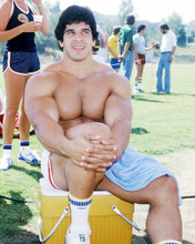 This is an image of Photograph & Poster of Lou Ferrigno 293354