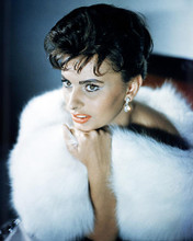 This is an image of Photograph & Poster of Sophia Loren 293374