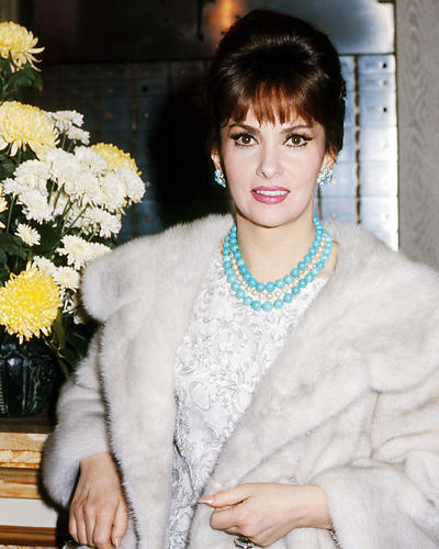 This is an image of Photograph & Poster of Gina Lollobrigida 293563