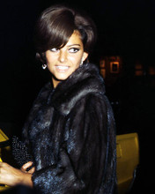 This is an image of Photograph & Poster of Claudia Cardinale 293452