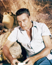 This is an image of Photograph & Poster of Errol Flynn 293524