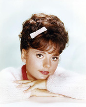 This is an image of Photograph & Poster of Dawn Wells 293577