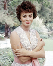 This is an image of Photograph & Poster of Sophia Loren 293635