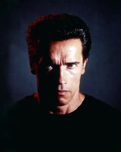 This is an image of Photograph & Poster of Arnold Schwarzenegger 293879