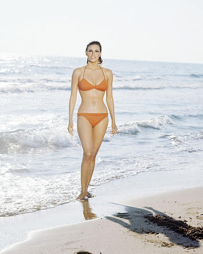 This is an image of Photograph & Poster of Raquel Welch 293882