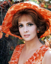 This is an image of Photograph & Poster of Gina Lollobrigida 293899