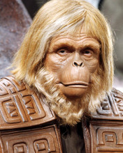 This is an image of Photograph & Poster of Planet of the Apes 293772