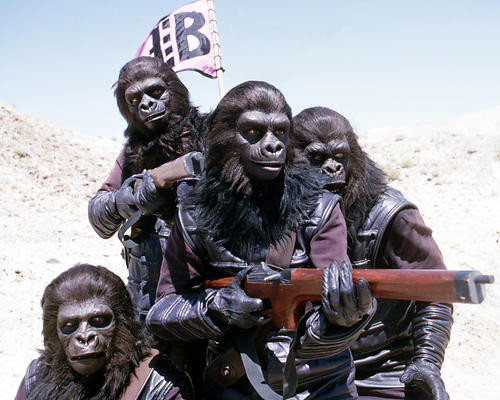 This is an image of Photograph & Poster of Planet of the Apes 293775
