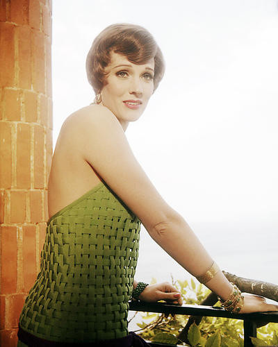 This is an image of Photograph & Poster of Julie Andrews 293794