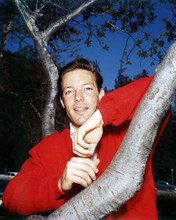 This is an image of Photograph & Poster of Richard Chamberlain 293813