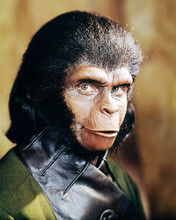 This is an image of Photograph & Poster of Planet of the Apes 293820