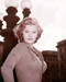 This is an image of Photograph & Poster of Sophia Loren 293606