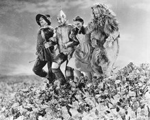 This is an image of Photograph & Poster of The Wizard of Oz 173534