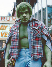 This is an image of Photograph & Poster of Lou Ferrigno 263108