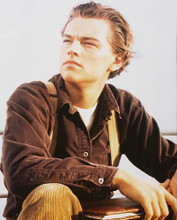 This is an image of Photograph & Poster of Leonardo Dicaprio 231398