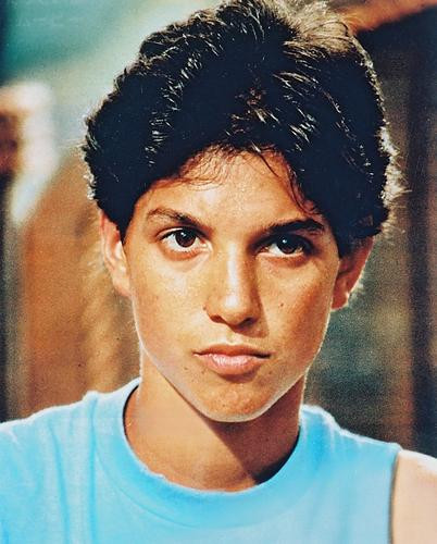 This is an image of Photograph & Poster of Ralph Macchio 252033