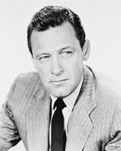 This is an image of Photograph & Poster of William Holden 167403