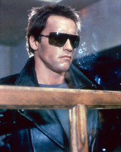 This is an image of Photograph & Poster of Arnold Schwarzenegger 277918