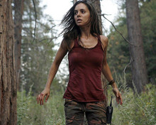 This is an image of Photograph & Poster of Eliza Dushku 278339