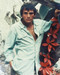 This is an image of Photograph & Poster of Terence Stamp 231160