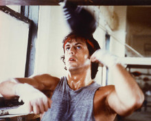 This is an image of Photograph & Poster of Sylvester Stallone 247932