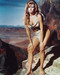 This is an image of Photograph & Poster of Raquel Welch 231612